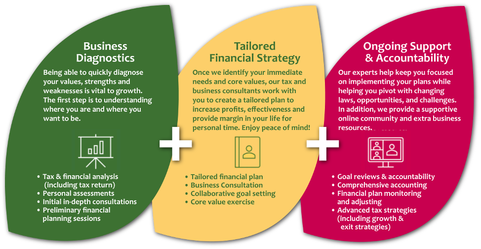 Business Diagnosis - Tailored Financial Strategy - Ongoing Support & Accountability